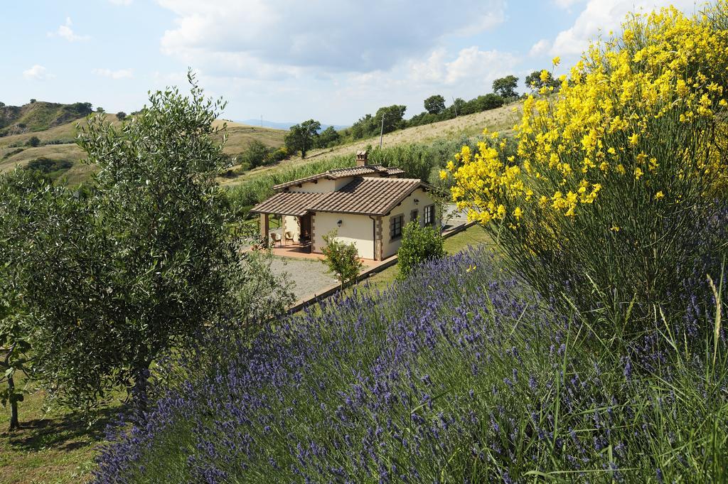 Le Capannacce Villa Cinigiano Kültér fotó